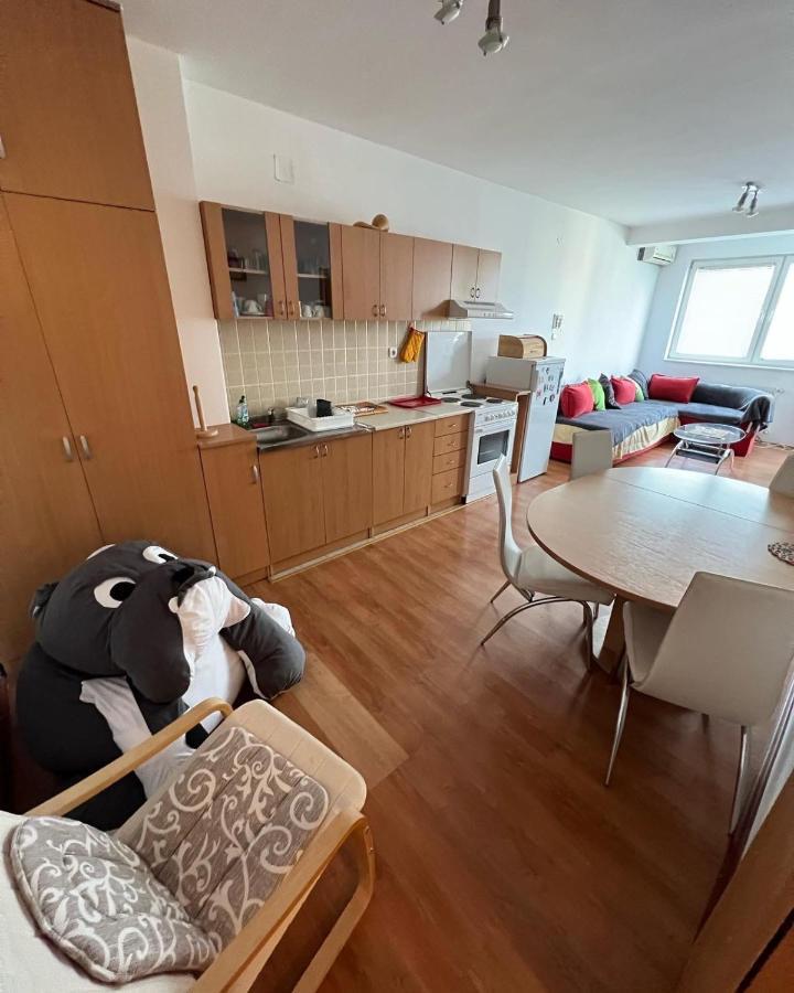 Apartments D&D Požarevac Esterno foto